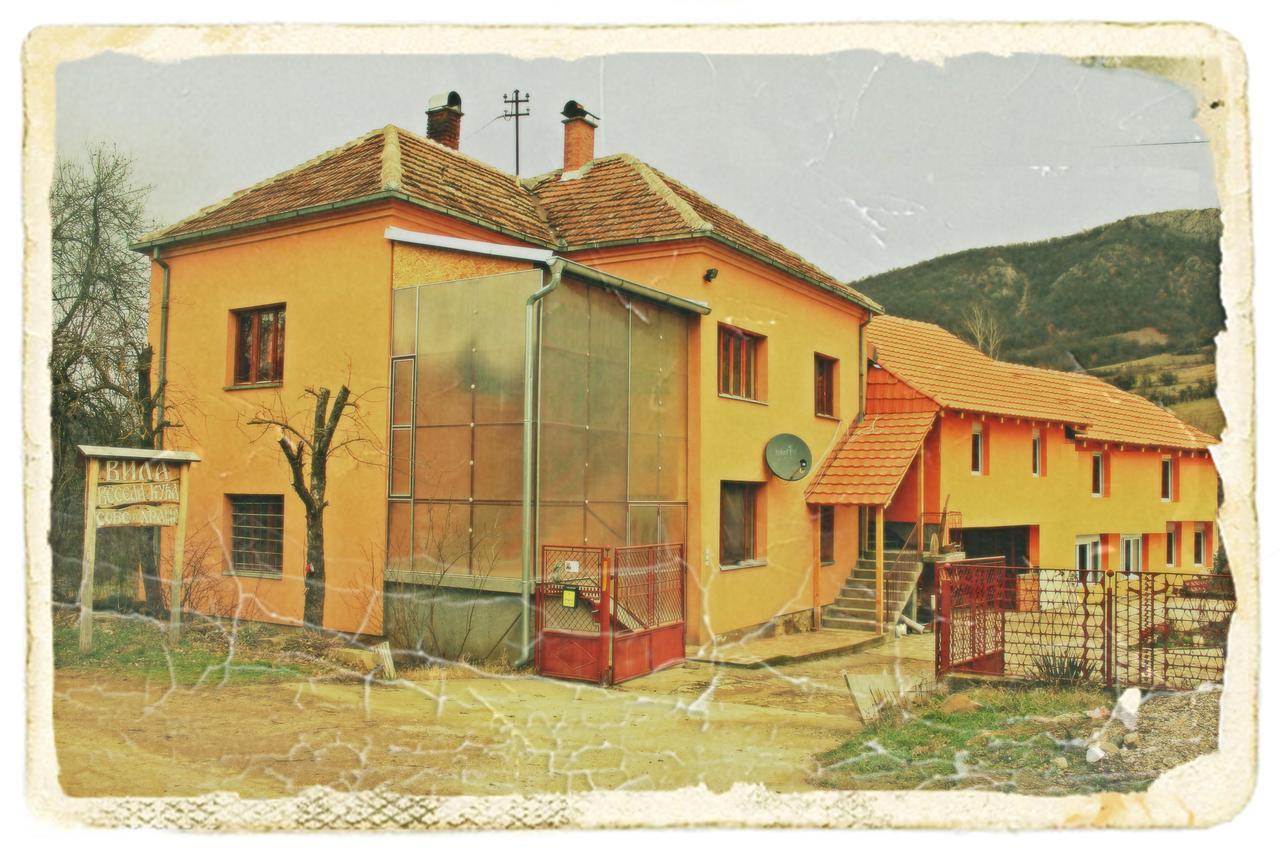 Stara Planina Vila Vesela Kuca Jalovik Izvor Ngoại thất bức ảnh